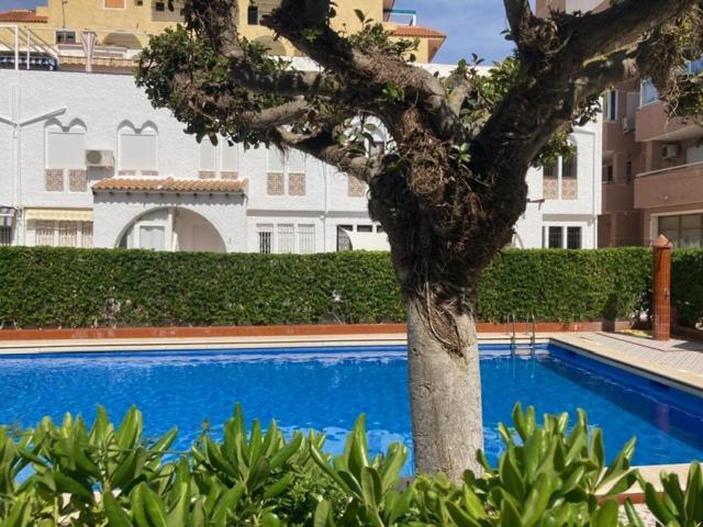Casa Torrevieja La Mata Villa Buitenkant foto